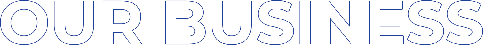 OUR BUSINESS